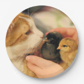 Delen Papieren Bordje (Voorkant)