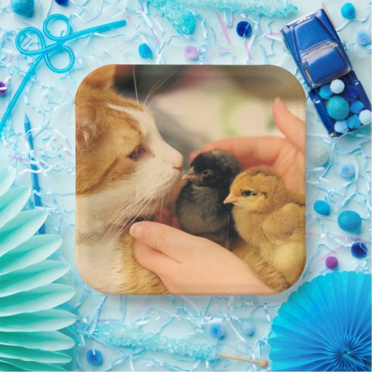 Delen Papieren Bordje (Feest)