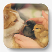 Delen Papieren Bordje (Voorkant)