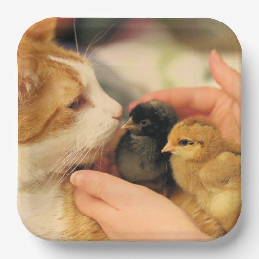 Delen Papieren Bordje (Voorkant)