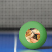 Delen Pingpongbal (Net)