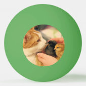 Delen Pingpongbal (Achterkant)