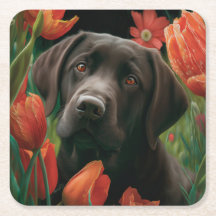 Delen van bloemhondenglas
