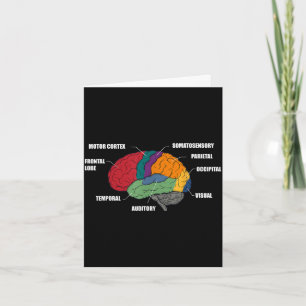 Delen van de hersenen anatomie kleurrijk diagram kaart