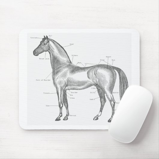 Delen van de Horse Mousepad Muismat (Met muis)