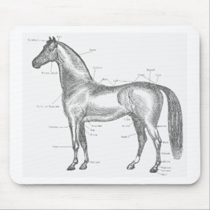 Delen van de Horse Mousepad Muismat