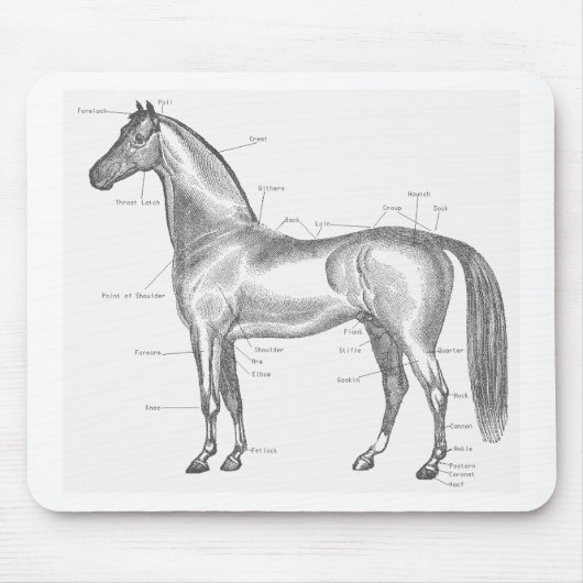 Delen van de Horse Mousepad Muismat (Voorkant)