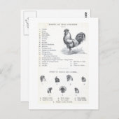 Delen van de kip briefkaart (Voorkant / Achterkant)