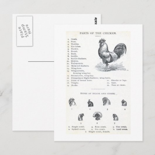 Delen van de kip briefkaart (Voorkant / Achterkant)