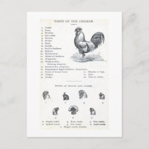 Delen van de kip briefkaart