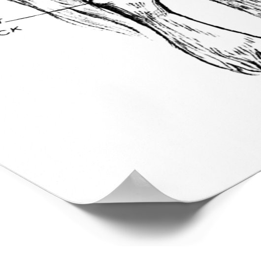 Delen van de paarden poster (Hoek)