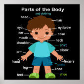 Delen van het Poster van de carrosserie (Voorkant)