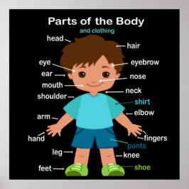 Delen van het Poster van de carrosserie