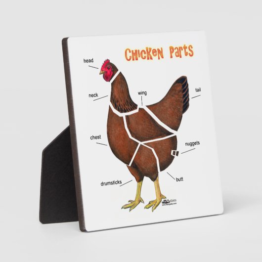 Delen van kippen fotoplaat (Voorkant)