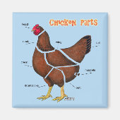 Delen van kippen magneet (Voorkant)