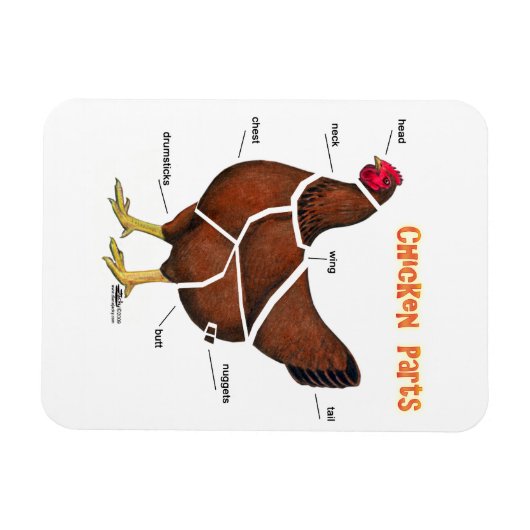 Delen van kippen magneet (Horizontaal)