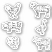 Delen van Stickers (Voorkant)