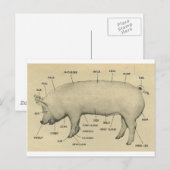 delen van varkens briefkaart (Voorkant / Achterkant)