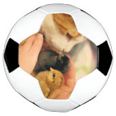 Delen Voetbal (Gedraaid)