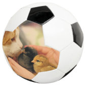 Delen Voetbal (Drie kwart)