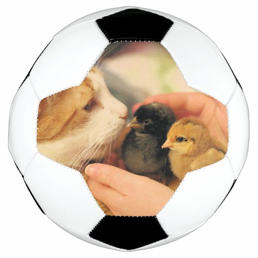 Delen Voetbal (Voorkant)