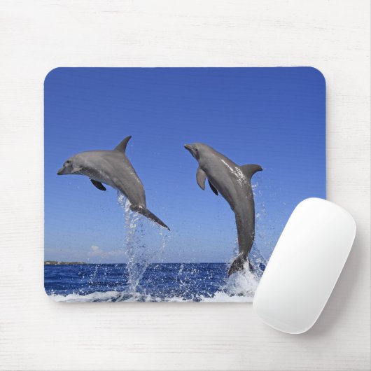 Delfin 2 muismat (Met muis)