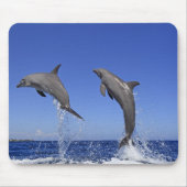 Delfin 2 muismat (Voorkant)