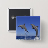 Delfin 2 vierkante button 5,1 cm (Voorkant /achterkant)