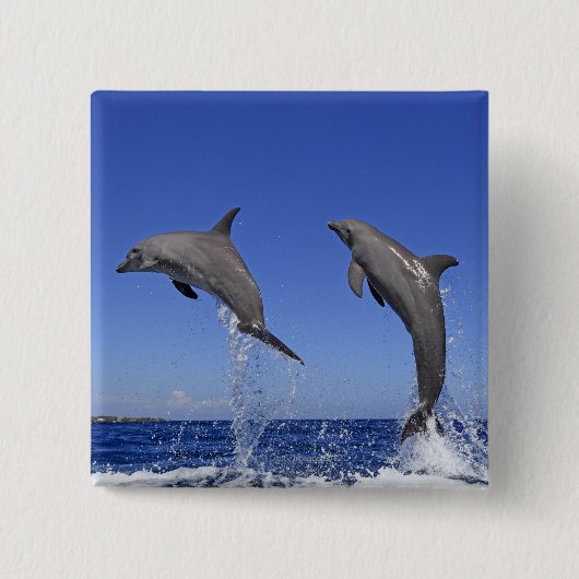 Delfin 2 vierkante button 5,1 cm (Voorkant)