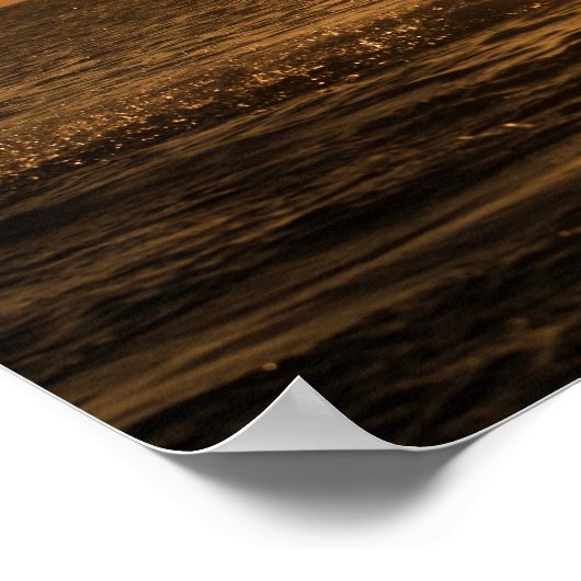 Delfin 3 poster (Hoek)