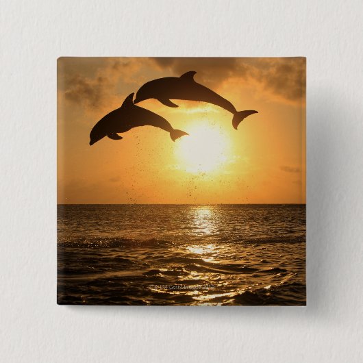 Delfin 3 vierkante button 5,1 cm (Voorkant)