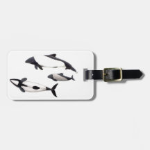 Delfin de Commerson