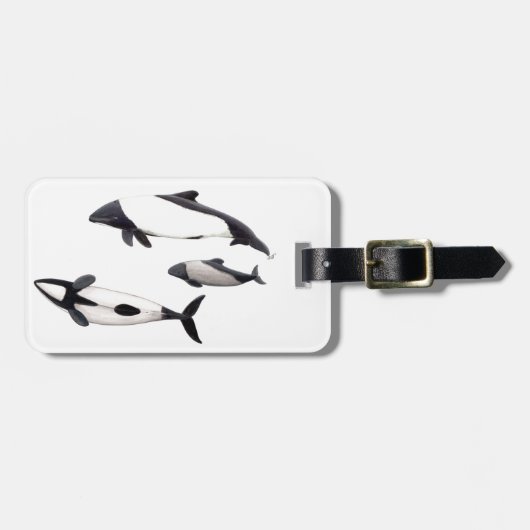 Delfin de Commerson Bagagelabel (Voorkant horizontaal)