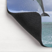 Delfin, Delphin, Grosser Tuemmler, Tursiops 2 Muismat (Hoek)