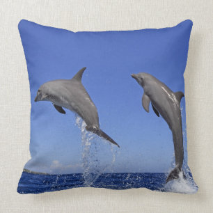 Delfin, Delphin, Grosser Tuemmler, Tursiops 3 Kussen