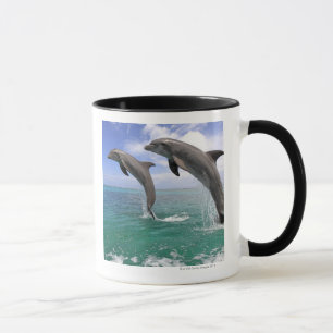 Delfin, Delphin, Grosser Tuemmler, Tursiops 4 Mok