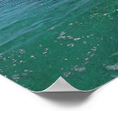 Delfin, Delphin, Grosser Tuemmler, Tursiops 4 Poster (Hoek)