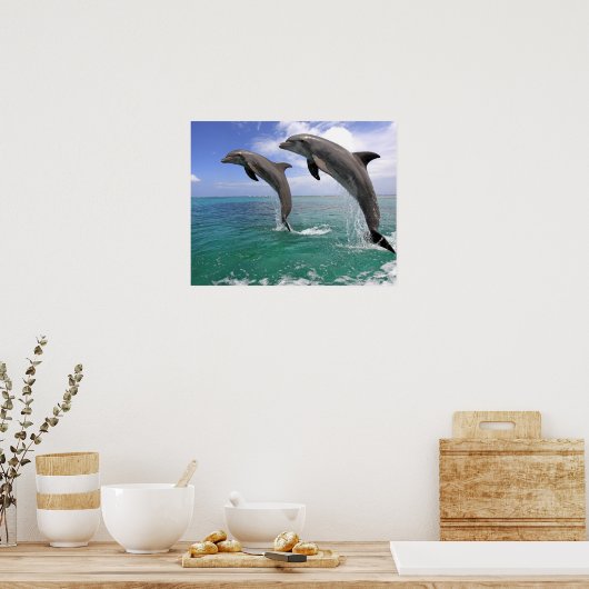 Delfin, Delphin, Grosser Tuemmler, Tursiops 4 Poster (Keuken)