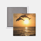 Delfin, Delphin, Grosser Tuemmler, Tursiops Magneet (Voorkant / Achterkant)