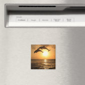 Delfin, Delphin, Grosser Tuemmler, Tursiops Magneet (Insitu (Vaatwasser))