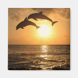 Delfin, Delphin, Grosser Tuemmler, Tursiops Magneet