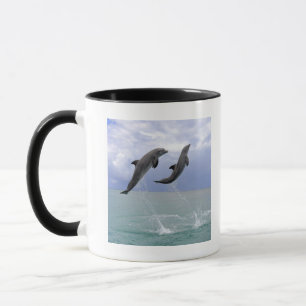 Delfin (Grosser Tuemmler) Mok