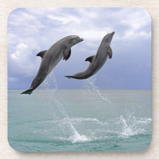 Delfin (Grosser Tuemmler) Onderzetter (Voorkant)