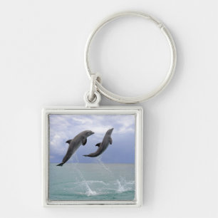 Delfin (Grosser Tuemmler) Sleutelhanger