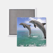 Delfin Magneet (Voorkant / Achterkant)