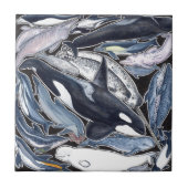 Delfines, orcas, belugas y narvales tegeltje (Voorkant)