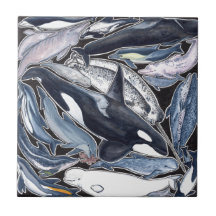 Delfines, orcas, belugas y narvales