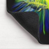 Delfinfamilie im Sonnenschein Muismat (Hoek)