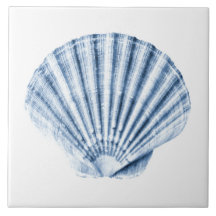 Delfts Blauwe Schelp Zee Schelp Nautilus Strandhui