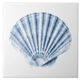 Delfts Blauwe Schelp Zee Schelp Nautilus Strandhui Tegeltje